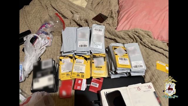 Сим‑боксы на 1 800 сим‑карт: в Арзамасе пресекли работу сим-боксов мошенников смотреть онлайн