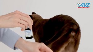 Нефроспас Okvet, 50 мл