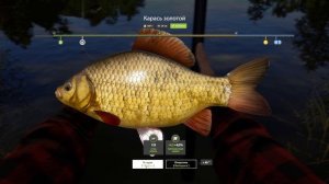 Russian Fishing 4 / Карасики и окуни