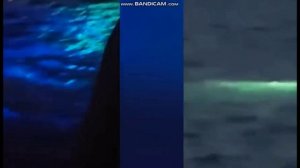 Подборка НЛО со всего Мира. Странные и удивительные пришельцы и явления