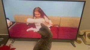 Самая преданная поклонница 😻😍🥰