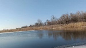 Станья 5 февраля.