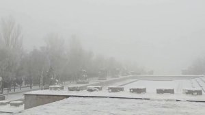 Сталинград -Родина Победы. ГБССУ СО ГПВИ «Волгоградский ДСО»