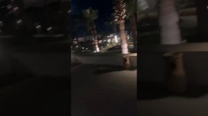 Негодование гостя отеля Jaz Sharm Dreams 5*