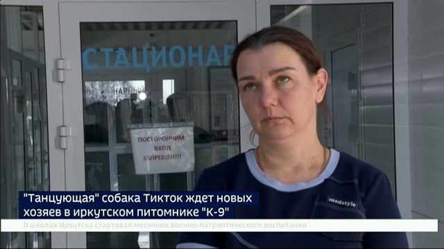 «Танцующая» собака Тикток ждет новых хозяев в иркутском питомнике «К-9» смотреть онлайн