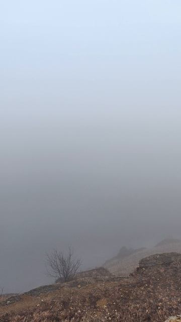 Берёзовское ущелье в молоке 🏔 смотреть онлайн