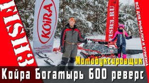 Что нового в КОЙРА Богатырь 600? Тест с лыжным модулем по пухляку