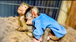 Детский сад « СОЛНЫШКО» проснулся и идет на завтрак! ТАКАЯ МИЛОТА)))