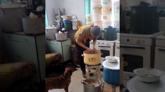 27.01.2026 Будни