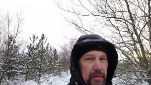 истории старого лесника