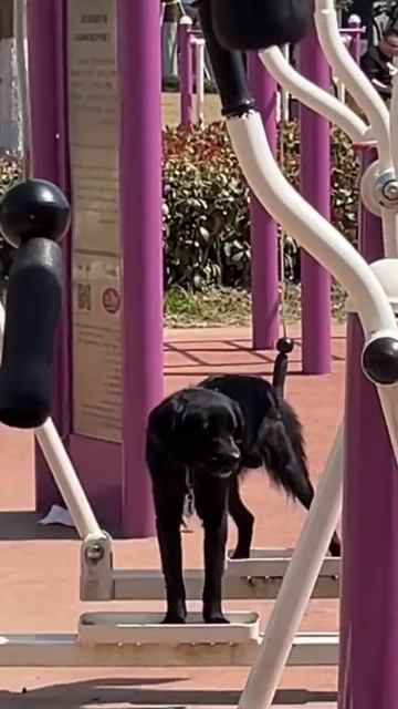 На расслабоне смотреть онлайн