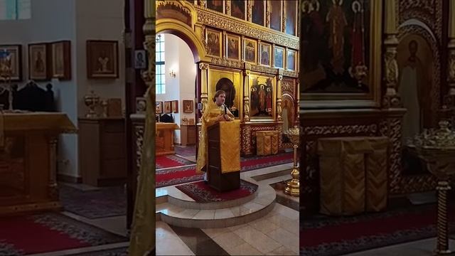 Воскресенье, 07.12.2025. Неделя 26-я по Пятидесятнице. Попразднство Введения. Вмц. Екатери́ны смотреть онлайн