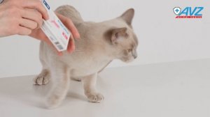 РОКСИОР® таблетки для кошек