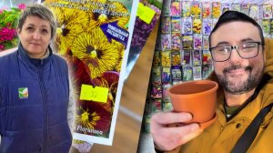 Семена цветочных новинок и попытка сэкономить