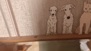 рассказываю о всех своих собака сколько им лет и как их зовут