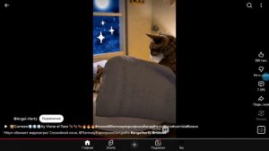 Мяувл любит видеоигры!
(Перезазлив из Ютуба)