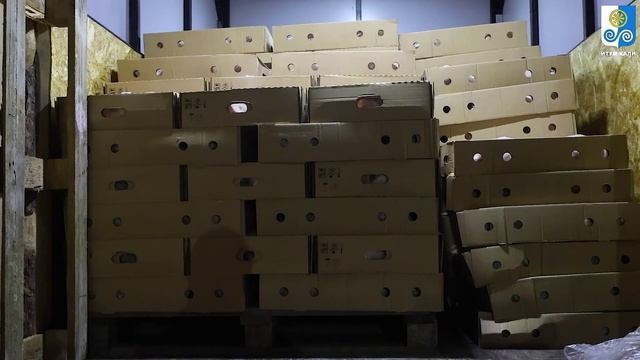 саг1 хлеб куры1 смотреть онлайн