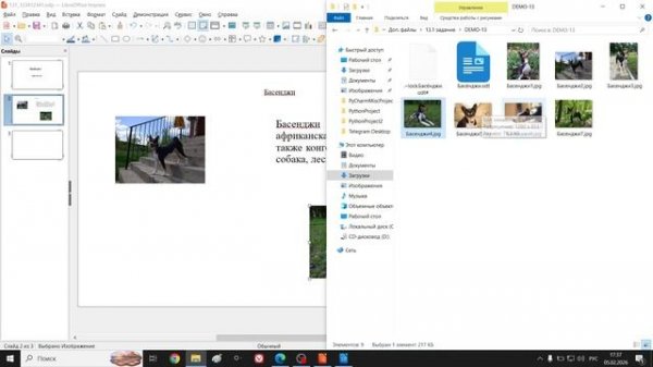 ОГЭ 13_1 2026 Презентация