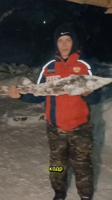 ОСЕТР НА 6 КГ! смотреть онлайн