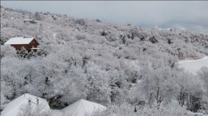 Песенная Медитация 05.02.2026