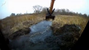 Бобровая плотина была разрушена!