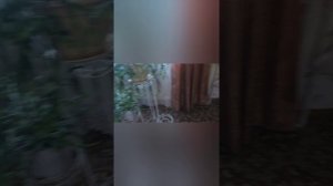 04.02.26г
В гости к т.Наташи. 
Приехали к папе Сергея на кладбищю 
Поездка в т.ц Алимпик