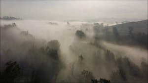 Black Death - Туман, туман