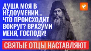 Душа моя в недоумении... Что происходит вокруг? Вразуми меня, Господи! (Душеполезные наставления)
