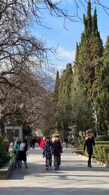 Ялта прямо сейчас - 5 февраля 2026 смотреть онлайн