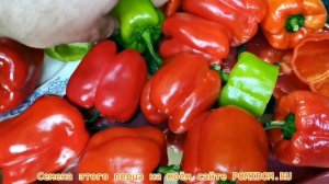 🍅Сорт ПЕРЦА моей Мечты! Урожайный! Ранний! Идеальный для фарширования!