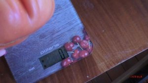 Обзор томата АБРУЦЦО