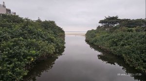 БРАЗИЛИЯразное