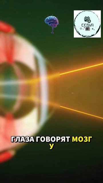 ПОЧЕМУ ПАССАЖИРОВ УКАЧИВАЕТ В ТРАНСПОРТЕ А ВОДИТЕЛЯ НЕТ ЧТО СДЕЛАТЬ ВАМ ЧТОБЫ НЕ ТОШНИЛО СУТЬ ВИДЕО смотреть онлайн