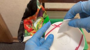 Посеяла лобелию.