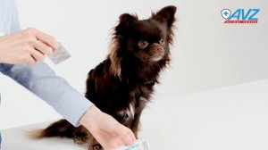 РОКСИОР® таблетки для собак 5 мг, 3 блистера