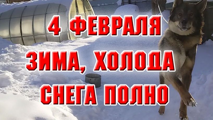 4 февраля. Зима, холода, снега полно
