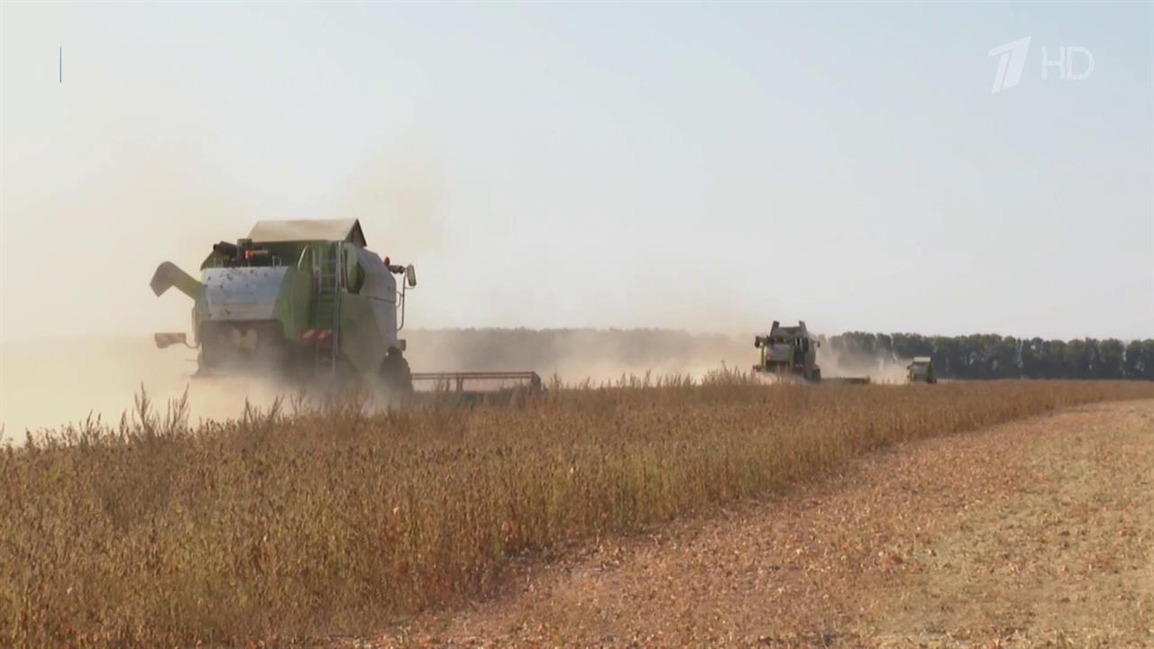 Более 500 миллиардов рублей выделит правительство на развитие российского АПК. смотреть онлайн