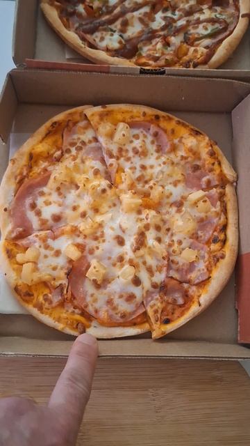 ПИЦЦА ГАВАЙСКАЯ/ПИЦЦА ГРУЗИНСКАЯ/ШАУРМА С КУРИЦЕЙ