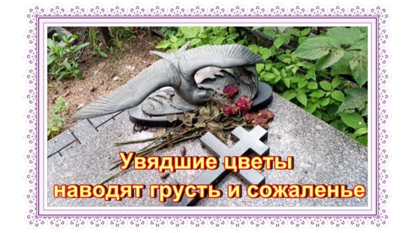 Цветы . Хейтерам. смотреть онлайн