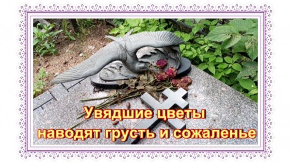 Цветы . Хейтерам.