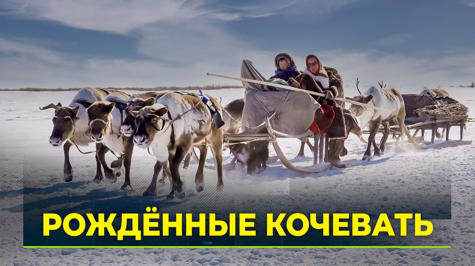 Кочевым семьям в России упростили порядок регистрации статуса смотреть онлайн