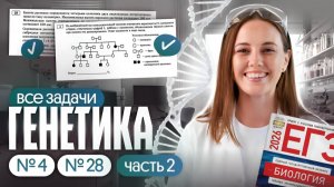 ВСЕ ЗАДАЧИ ПО ГЕНЕТИКЕ ЗА 4 ЧАСА | Часть 2 | ЕГЭ по биологии 2026 | Вероника Вавилова