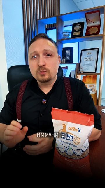 Пищевая аллергия у собак - причины, симптомы, диагностика #кашадлясобак #ветсоветы #собака