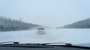 5.02.26. Везём на продажу яйца в соседний посёлок. В Находке.