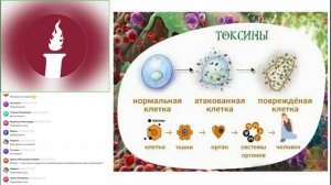Вебинар: «Токсины, клетка и аквабиотики»