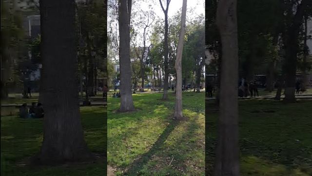 Прогулка к русскому самолету