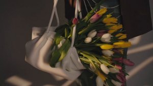 женская одежда plus size