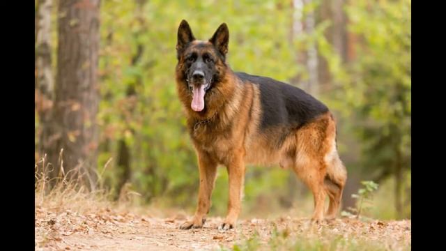 на кольцевой смотреть онлайн