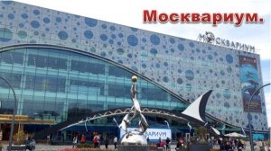 Москвариум. Москва. ВДНХ. Фонтаны.