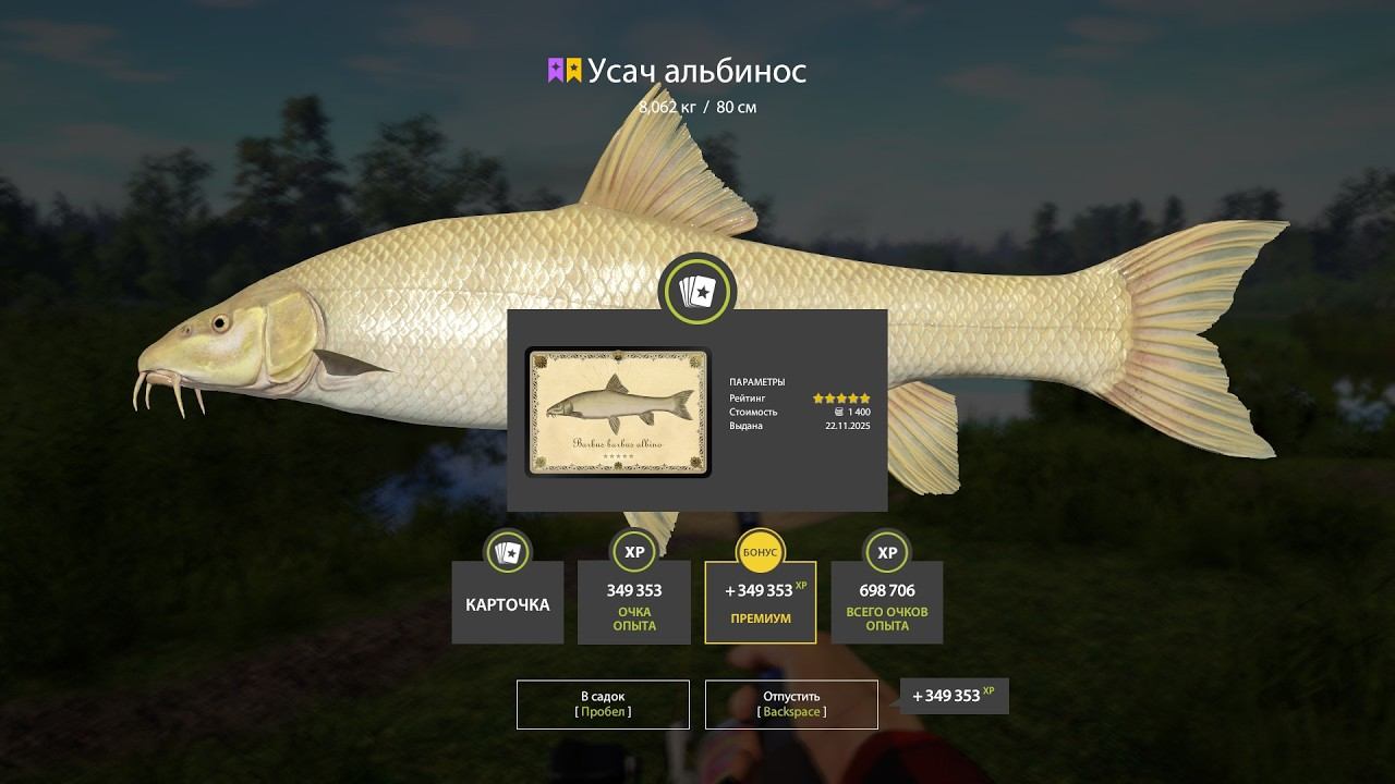 ЗА ТРОФЕЙНЫМИ БУФФАЛО И ЕЩЕ КУДА НИБУДЬ В РУССКОЙ РЫБАЛКЕ 4 СТРИМ смотреть онлайн